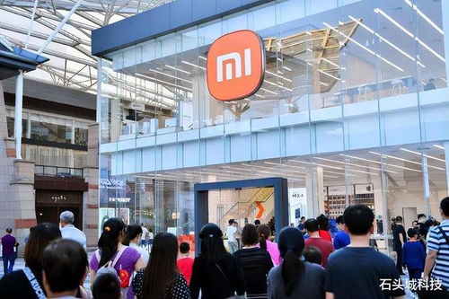 新舊雙雄 價格與配置俱佳的手機，助力互聯網接入及相關服務
