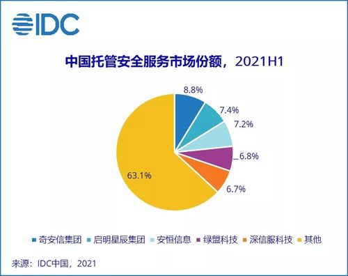 2021上半年中國IT安全服務市場躍升 整體收入約11.1億美元，同比增長達110%，互聯網接入及相關服務成關鍵驅動力