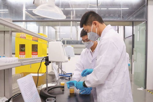 4家代表性省級重點(diǎn)實(shí)驗(yàn)室及新型研發(fā)機(jī)構(gòu)聚力創(chuàng)新研發(fā) 賦能惠州做強(qiáng) 2 1 現(xiàn)代產(chǎn)業(yè)集群