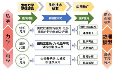 西安交通大學(xué)&ldquo;仿生工程與生物力學(xué)研究所(BEBC)&rdquo;誠(chéng)聘英才