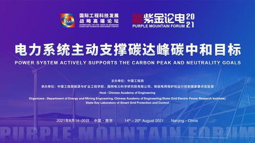 2021國際工程科技發(fā)展戰(zhàn)略高端論壇暨第六屆紫金論電國際學術研討會召開